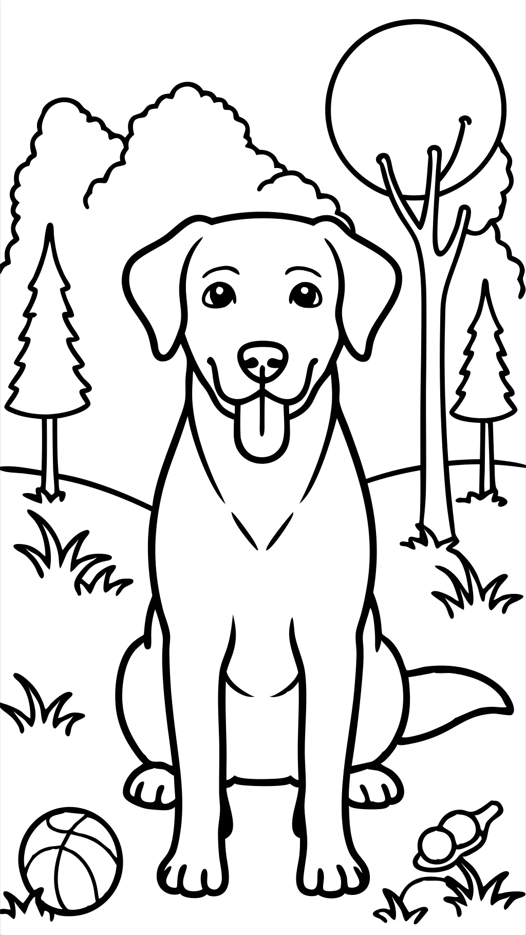 coloriage du labrador